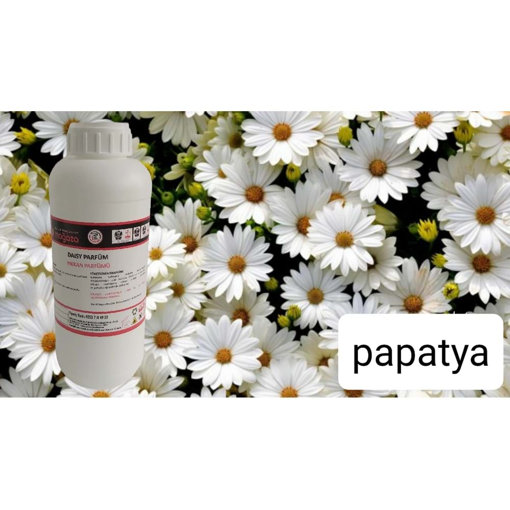 Daisy Papatya Kurumsal Geniş Alan Ortam Kokusu 1000 ML