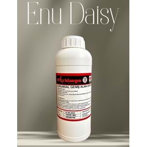 Daisy Papatya Kurumsal Geniş Alan Ortam Kokusu 1000 ML