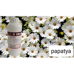 Daisy Papatya Kurumsal Geniş Alan Ortam Kokusu 1000 ML